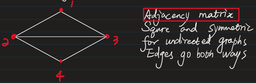 the network graph