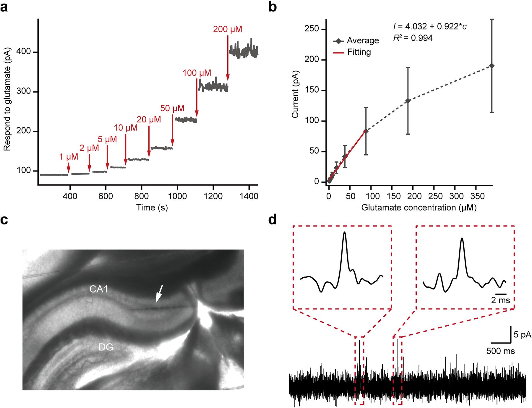 Zhao 等 2026 原文 Figure 2：超快 glutamate sensor 的电化学性能和小鼠脑片验证