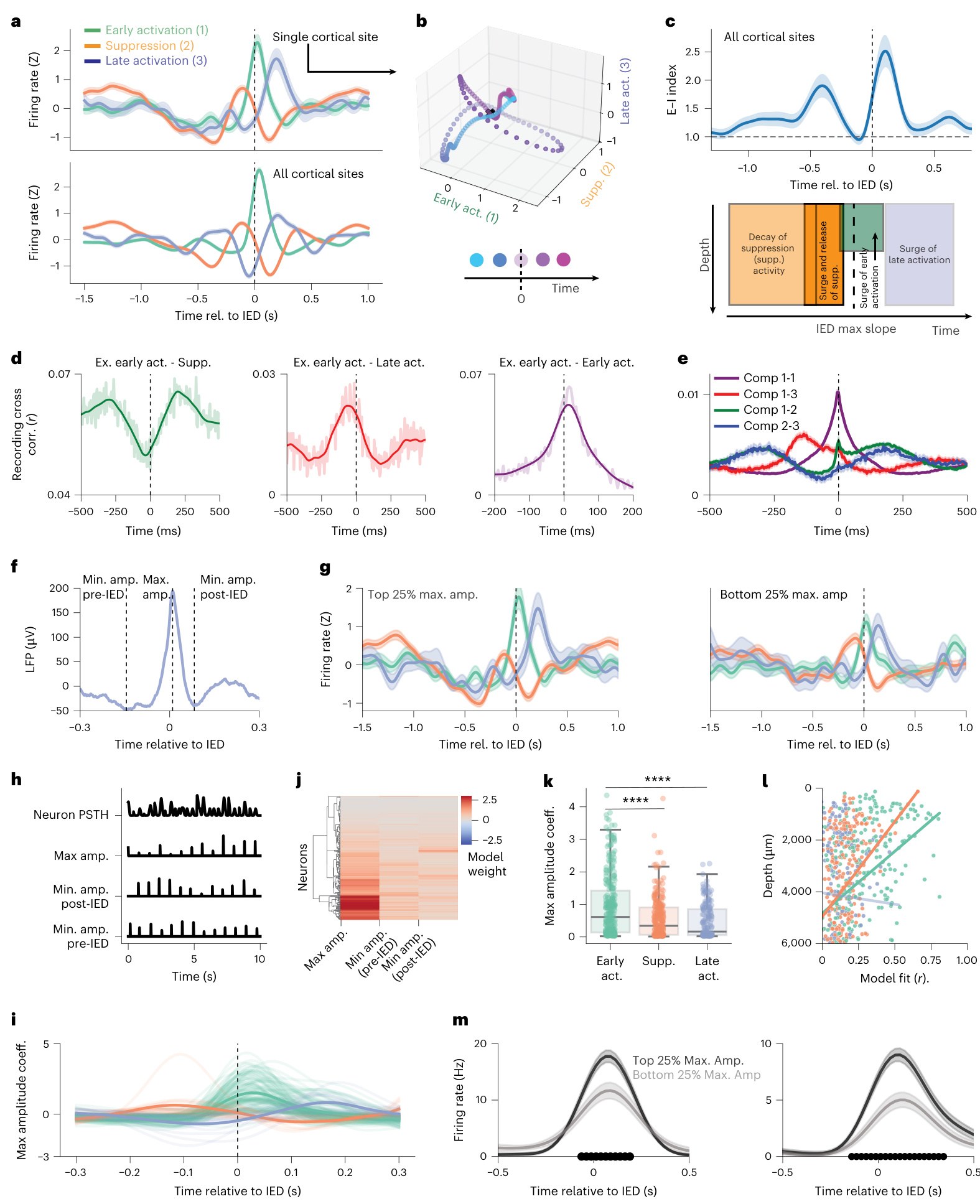 Silva 等 2026 原文 Figure 3：IED 生成的 E-I dynamics 和 amplitude coding