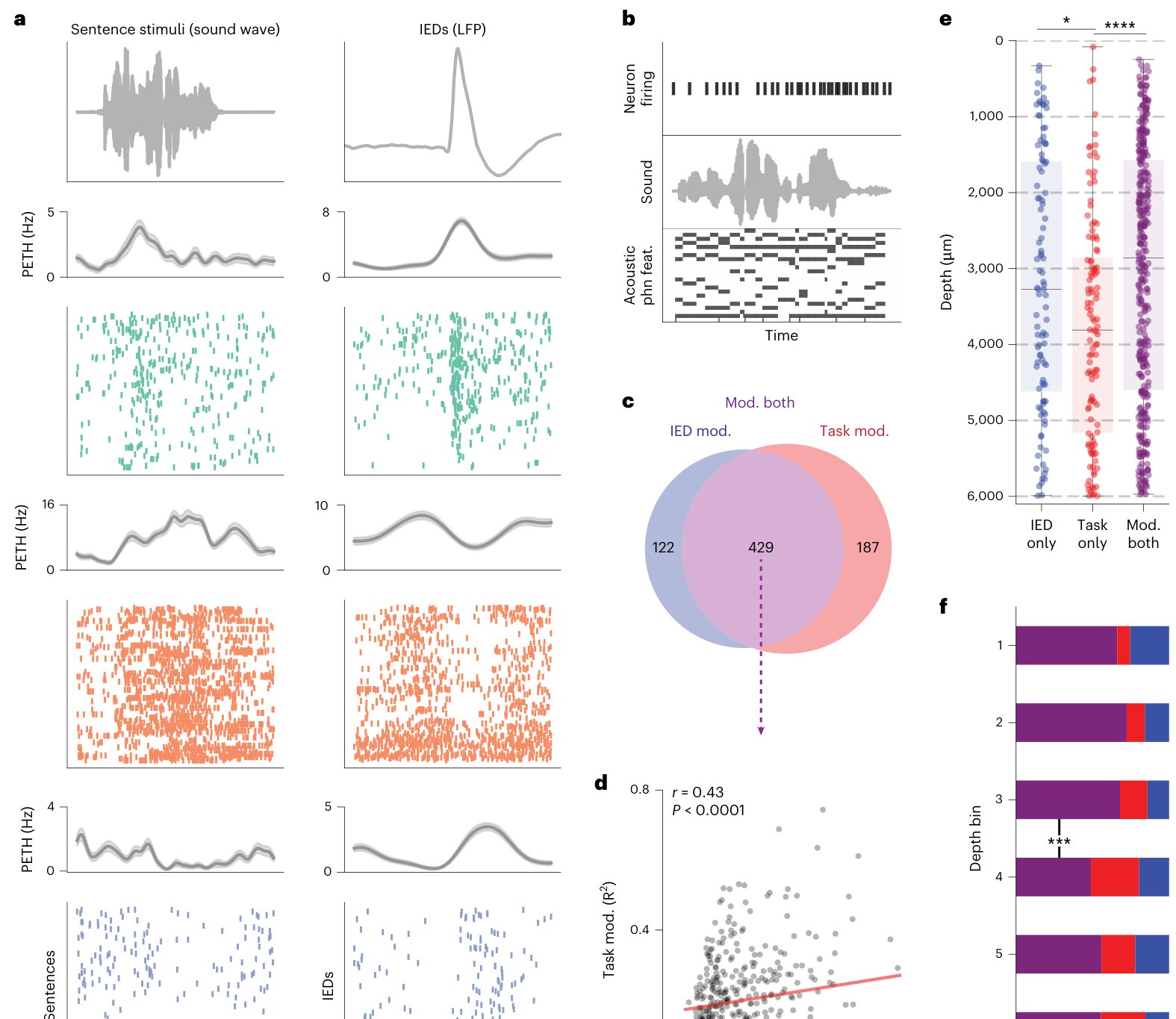 Silva 等 2026 原文 Figure 5：IED 调制神经元与 speech perception task 的共享底物