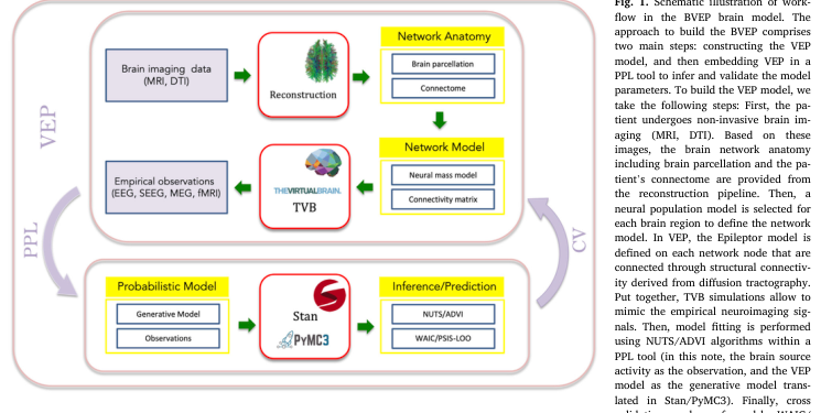 Hashemi 2020 Figure 1：Bayesian VEP 工作流