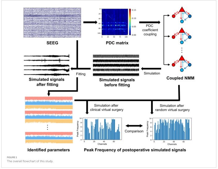 Cai 2024 Figure 1：SEEG-PDC-coupled NMM-RFTC 预测流程