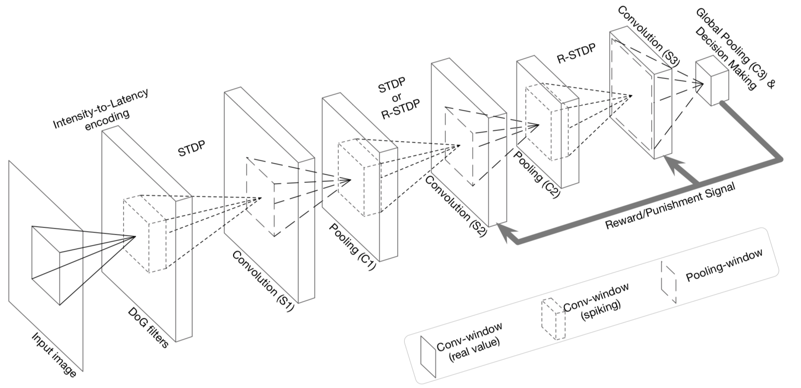 Yamazaki 2022 Figure 5：DCSNN digit recognition 结构