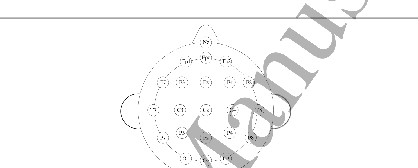 Figure 4:10-20 电极系统